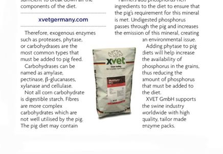 XVET Enzymes Featured in Pig Topics Magazine