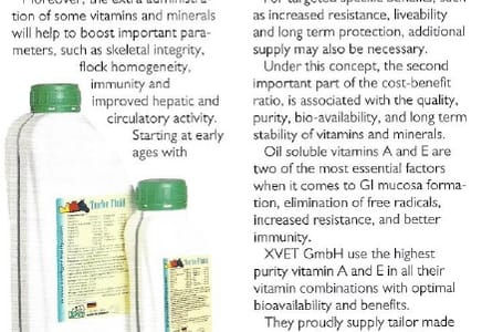 Article on Highest Purity Vitamin Combinations