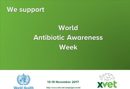 World Antibiotic Awareness Week (WAAW)