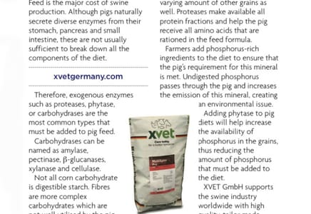 XVET Enzymes Featured in Pig Topics Magazine