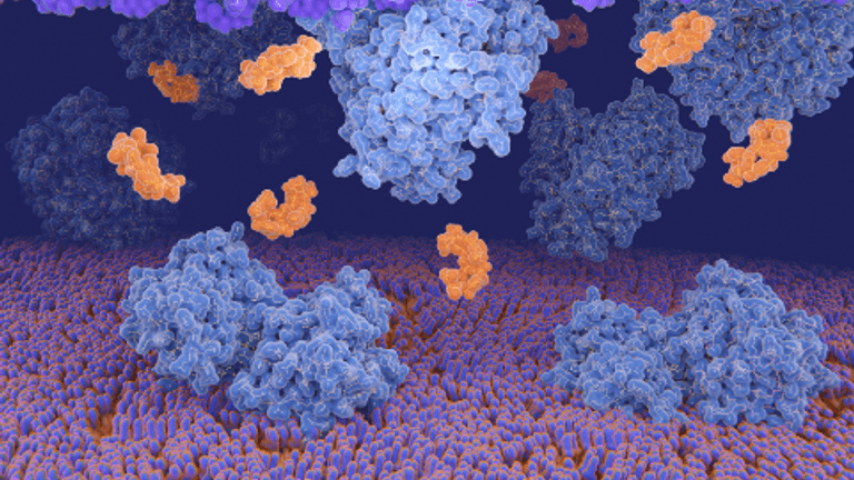 Antibiotic Reduction in Animal Production