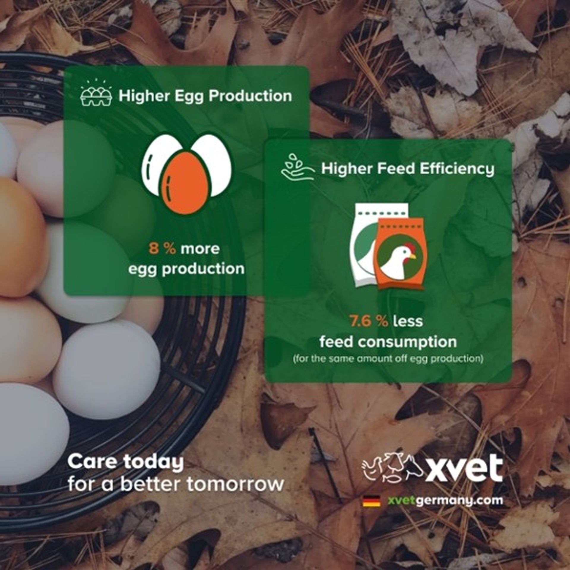 eggshell production, enhanced egg quality, strenght, broken egg, hatchability, calcium, Phosphorus, Vitamin D3, minerals, vitamins
