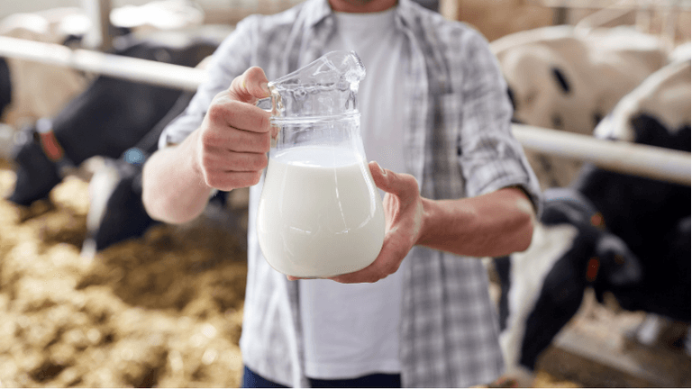 Optimizing Milk Yield