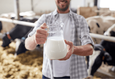 Optimizing Milk Yield